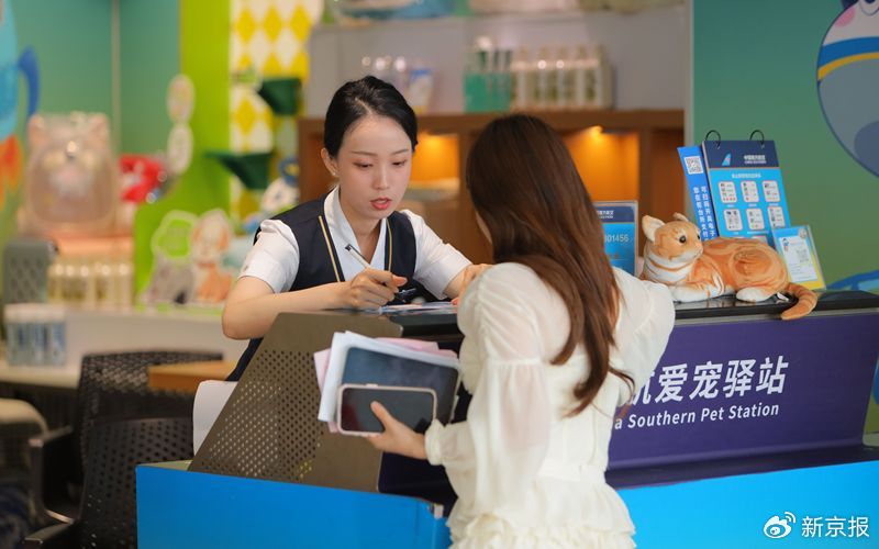 已覆盖国内数百条航线，宠物进客舱需穿纸尿裤坐经济舱末排