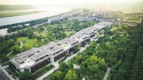 业绩大降的舍得酒业 遭监管问询后又现大额消费