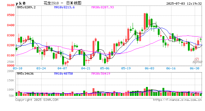花生半年度总结：上半年价格低位拉升 下半年供应压力扩大