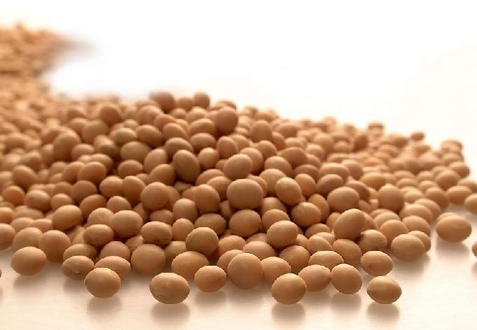 如何有效开展大豆期货交易？大豆期货交易的方法与策略有哪些？