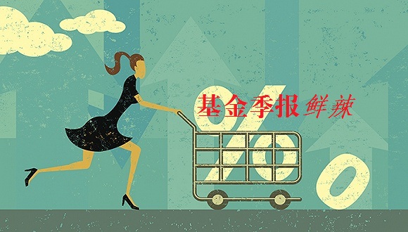 基金的行业配置策略对投资组合的影响是什么？