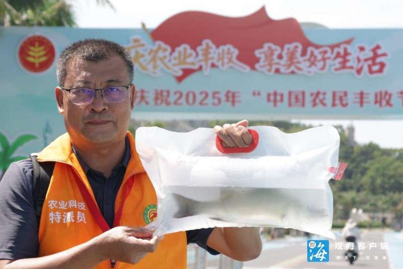 十分钟再谈预制菜出海：从肯德基、麦当劳，到中华美食的世界叙事