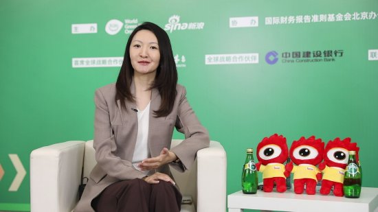 对话英利集团董事长苗青：虚拟电厂是实现零碳园区的路径 | 财之道