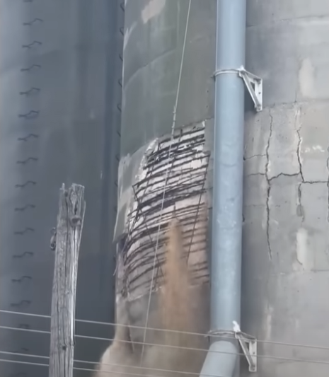 中国停购后,美国大豆真“爆仓”了