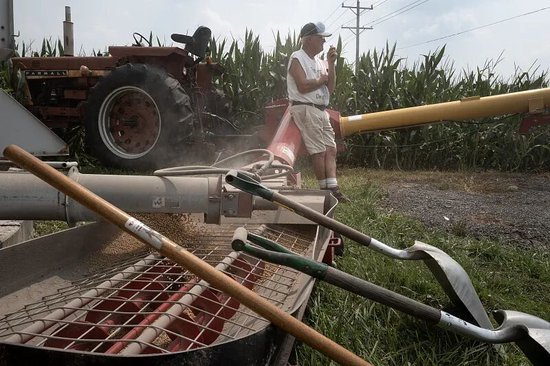 中国停购后,美国大豆真“爆仓”了