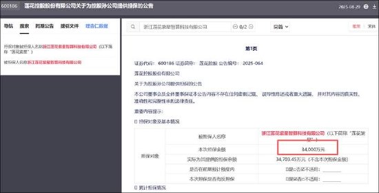 汤姆猫前董事长王健攒算力资本套利局?莲花控股与海南华铁疑均遭“围猎”