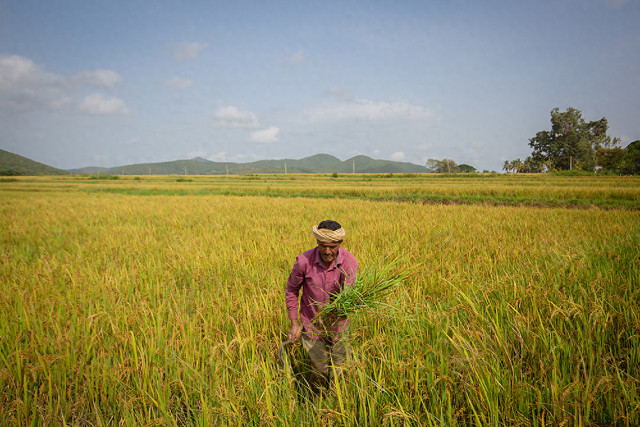印美“非常接近”达成贸易协定？印部长：不会仓促签署任何协议