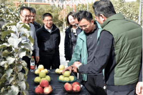 强化党建引领，东证期货助力泽普乡村振兴