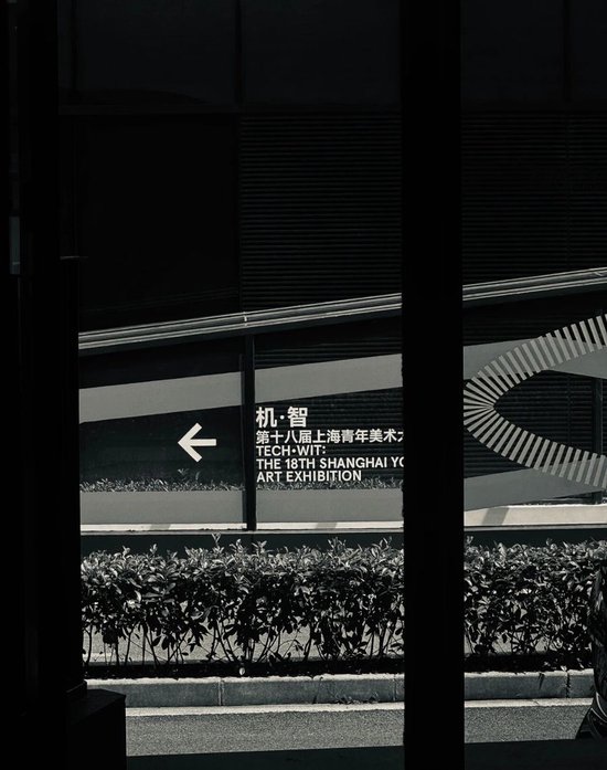 朋友圈正成为“艺术第一现场”，上海青年美展公众投票人次破18万的背后……