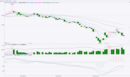 东海期货生猪月度策略报告|猪价超跌后低估值及政策稳定预期增强