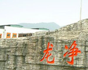 汽车环保认证有哪些标准和要求？