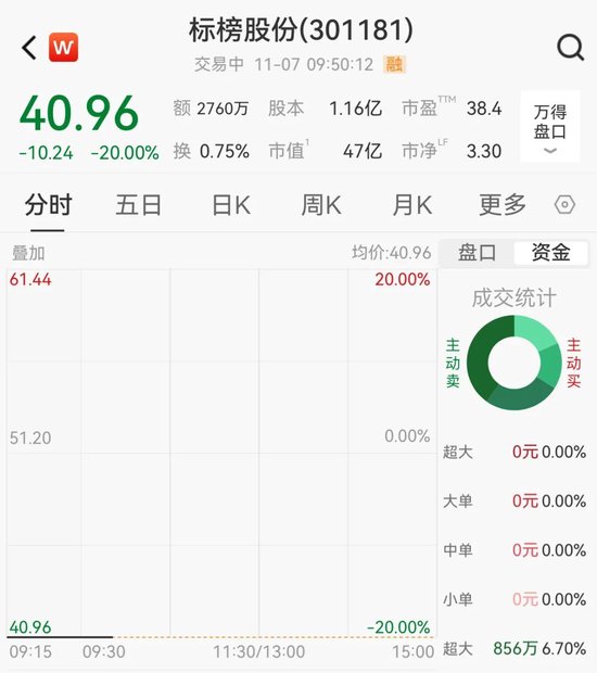 301181，突发跌停