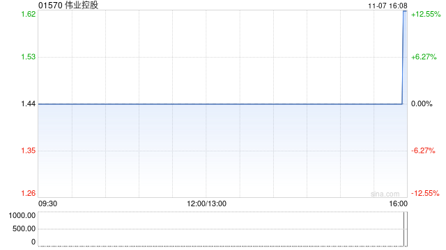 伟业控股建议更换核数师