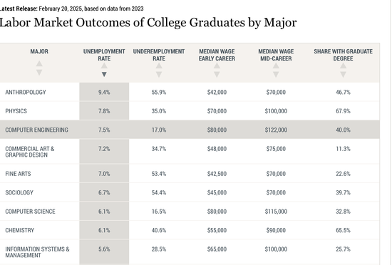 震惊、失望、迷茫:那些被AI取代的高薪码农们|硅谷观察