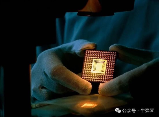 牛弹琴：荷兰人自己都看不下去了