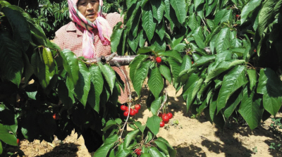 绿色信贷支持项目收益是否稳定？