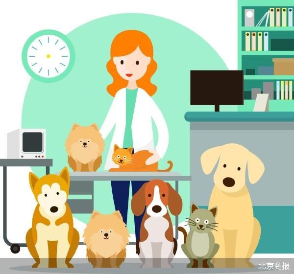 多家公司步入清算 宠物行业洗牌加速