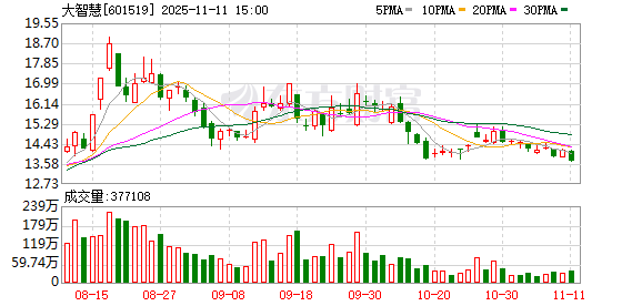 大智慧：王功伟起诉公司 要求撤销股东大会通过的湘财股份吸收合并公司事项等议案