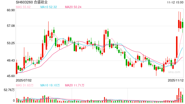 合盛硅业转亏股东清仓式减持：固定资产在建工程有息负债均超300亿 直接融资109亿后拟再大规模募资