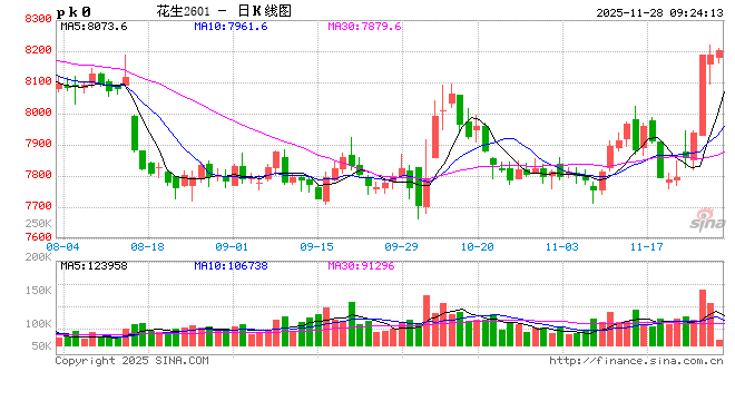 花生：节奏称王
