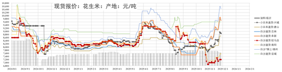 花生：节奏称王