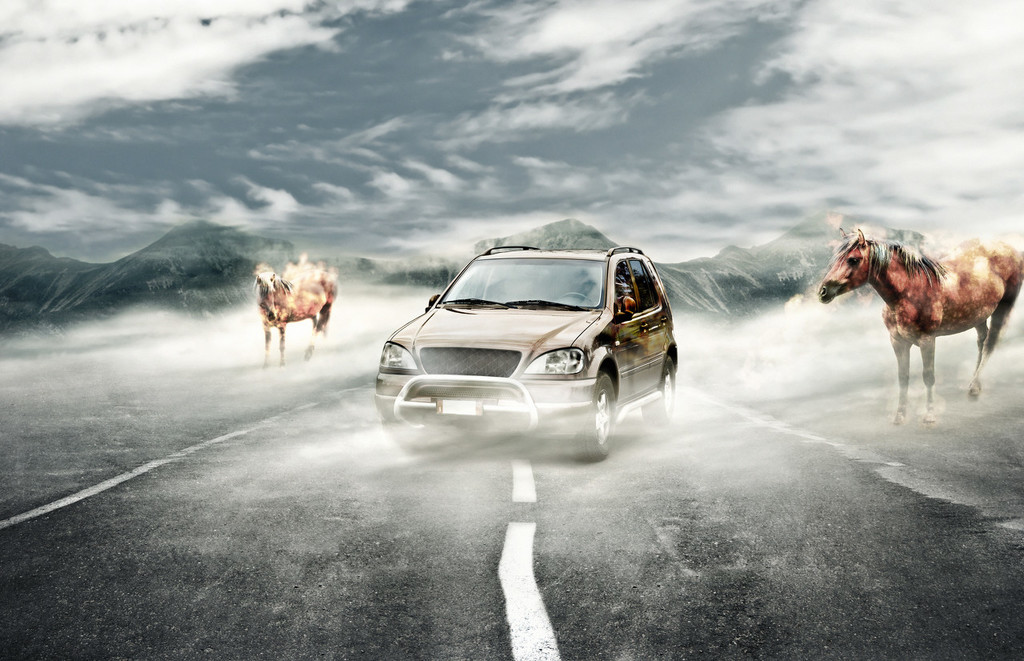 新手买车该优先考虑哪些配置？