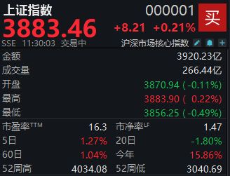A股缩量盘整，沪指半日微涨0.21%