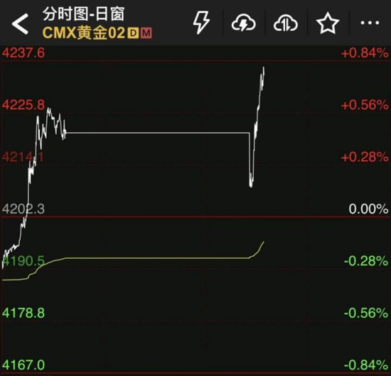 芝商所所有市场已恢复交易！“宕机”事件给出这些警示