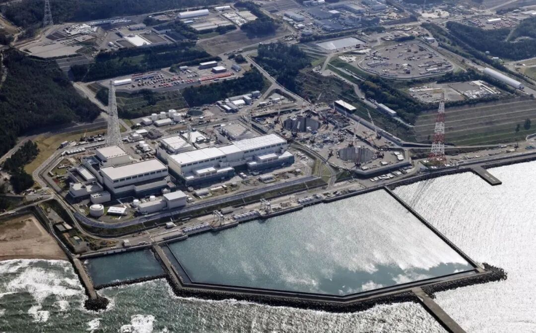 日元迎来关键12月！政府与央行口径罕见同步，加息预期全面引爆